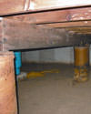 Mold and rot thriving in a dirt floor crawl space in Saskatoon