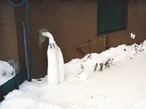 IceGuard® Installed Swift Current